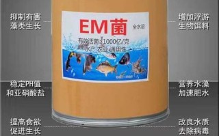 水产过磷酸钙加EM菌，肥水还是调水？
