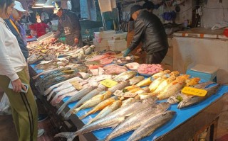 路林江东水产批发市场有何特色？