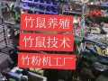 养殖竹鼠用什么饲料