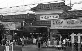 铜川路水产市场现状如何？