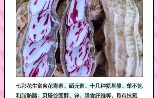 七彩花生怎么种？图解方法看这里！