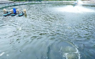 水产养殖解毒哪种方法最好？