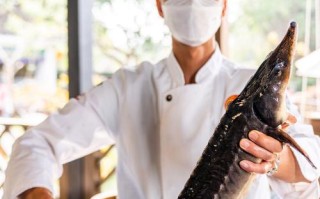 鲟鱼品种哪个最好？