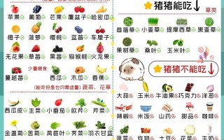 猪也吃草？哪些品种会？