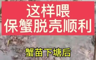 螃蟹池塘水草怎么种才合适？