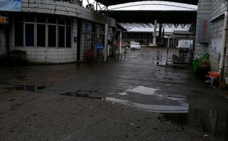 台州最大水产批发市场在哪？