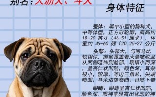 什么品种狗适合做肉狗？