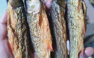 湖南鲶鱼干，中国水产的独特风味？