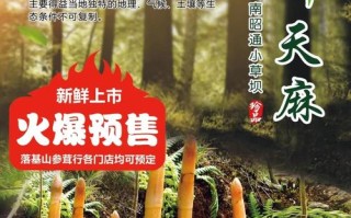 天麻好的价格是多少