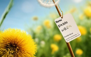 蒲公英正常价格多少