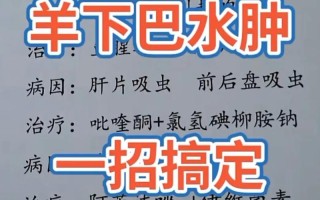 羊肠道疾病最佳治疗方法
