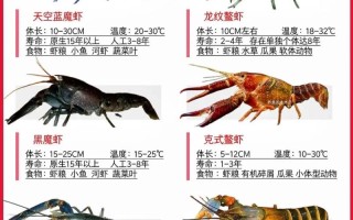 观赏虾有哪些品种？附图片大全