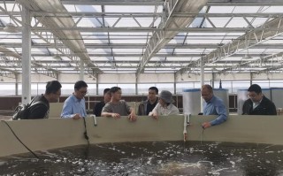 科技如何赋能水产养殖？