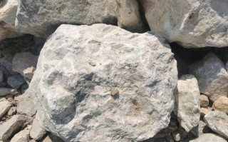 白云石粉养虾到底有啥作用？