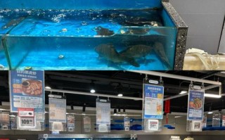 临沂水产品批发市场具体在哪儿？