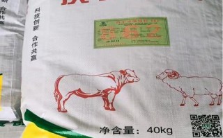 牛的饲料是什么