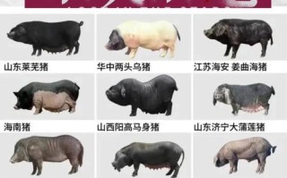 中国现有地方品种79个