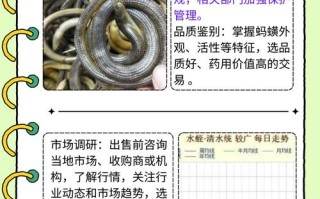 水蛭行情价格是多少