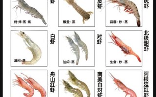 水产及水产品分类原则