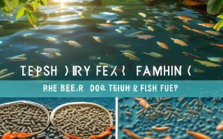 鱼苗饲养用什么饲料