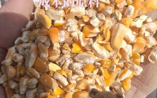 喂鹅的粗饲料是什么