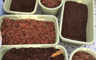 培养土的杀菌和消毒方法