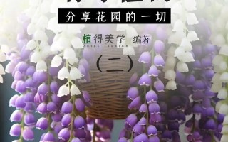 常见有毒花卉品种有哪些？