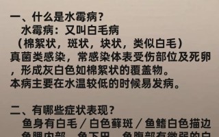 鱼感染病毒后该如何治疗？