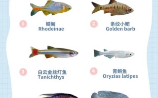 哪些水产品种能在低氧环境中生存？