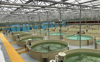 水产室内立体养殖项目