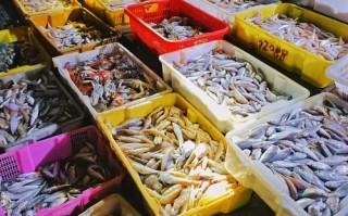 广东最大的水产批发市场