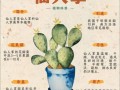 仙人掌品种名称有哪些？