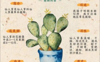 仙人掌品种名称有哪些？