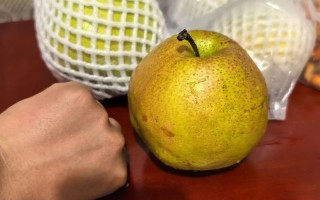 好大个的梨是什么品种