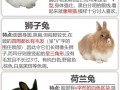 哪些兔子适合散养？