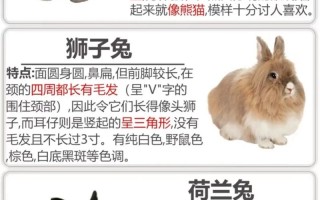 哪些兔子适合散养？