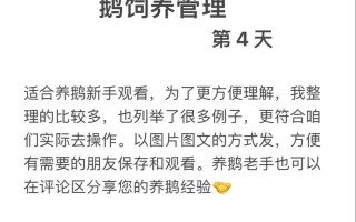 鹅怎么养？有哪些注意事项？