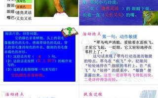 翠鸟怎么养？饲养需注意什么？