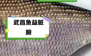 武昌鱼吃什么饲料