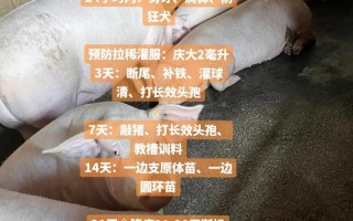 高产种猪培育方法有何关键创新点？