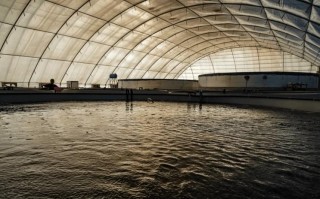 大棚水产养殖水体缺氧怎么办？