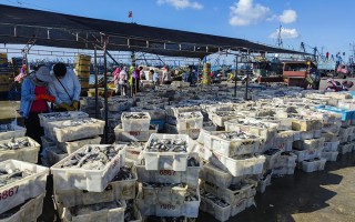 石狮市水产品批发市场