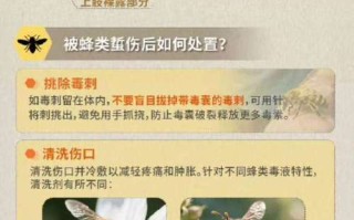 小蜂螨如何科学防治？