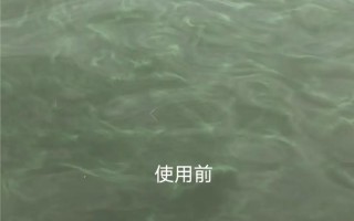 水产养殖什么是藻