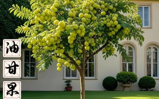 哪种果树品种种植效益最高？