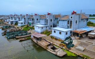 泰州水产批发市场行情如何？