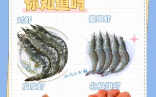 国联水产对虾养殖现状如何？