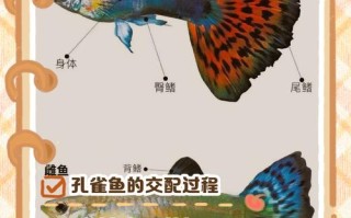 水产动物遗传育种如何突破种质瓶颈？