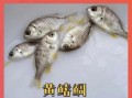 养殖黄鳍鲷喂什么饲料