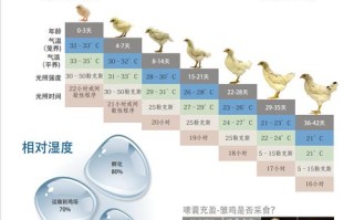 如何高效利用家禽地方品种资源？